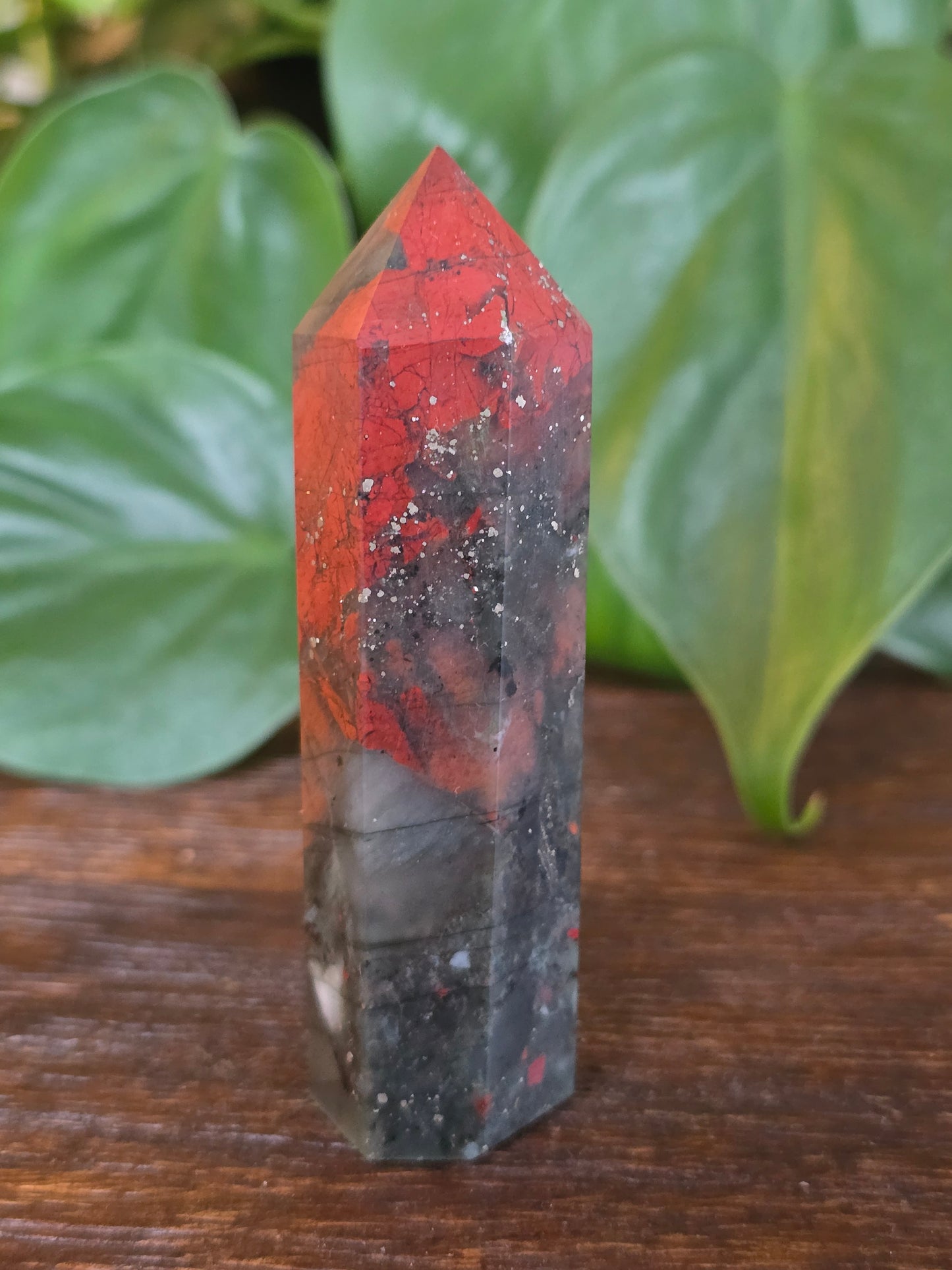 African Bloodstone Point "D"