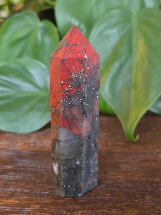 African Bloodstone Point "D"