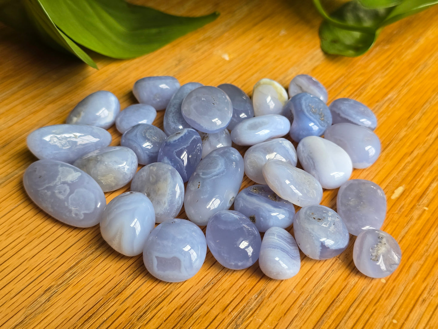 Blue Lace Agate Tumbles (ALL)