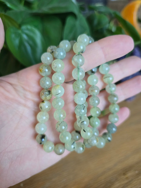 Prehnite Stretch Bracelet