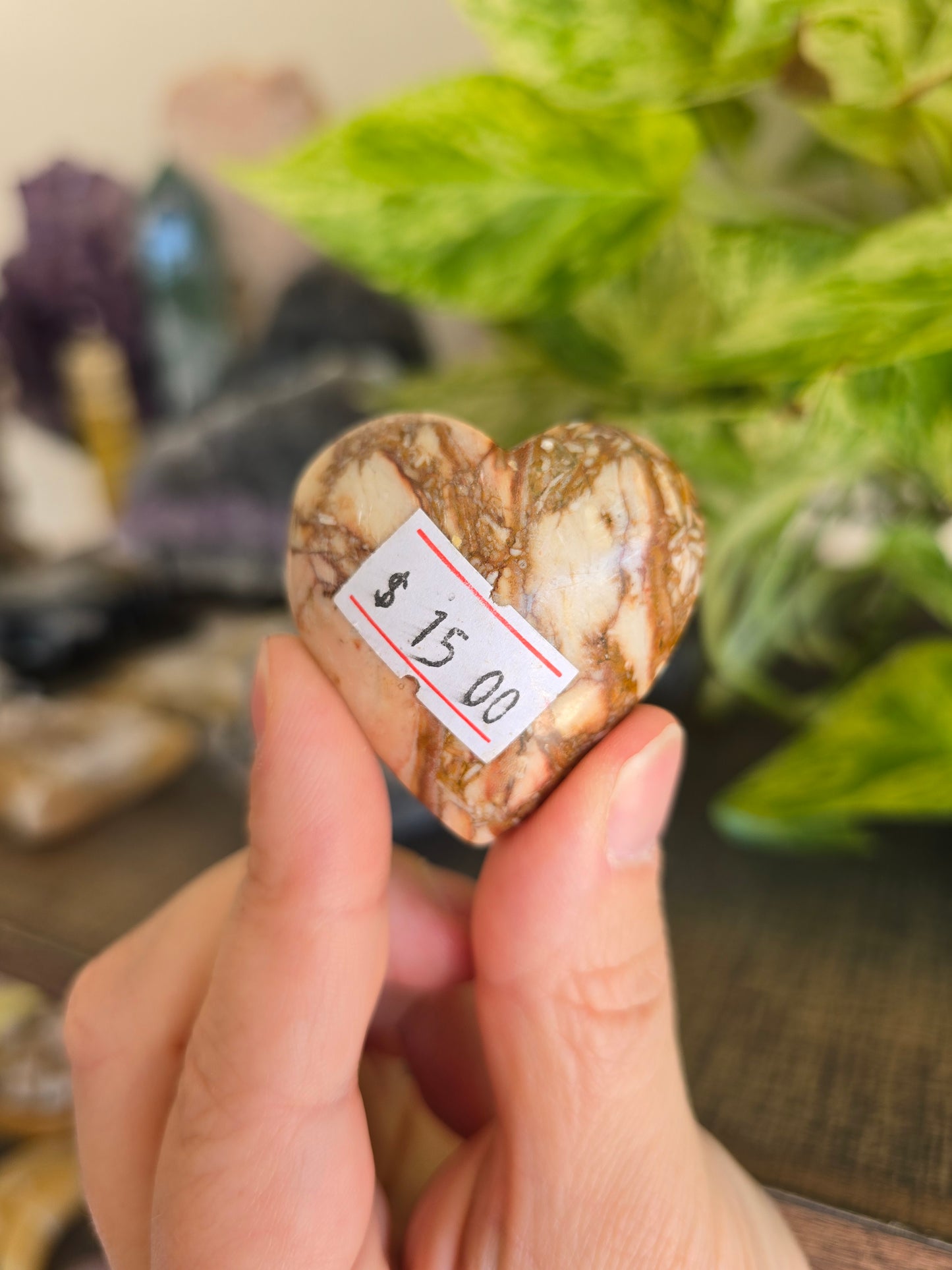 Rose Garden Jasper Heart