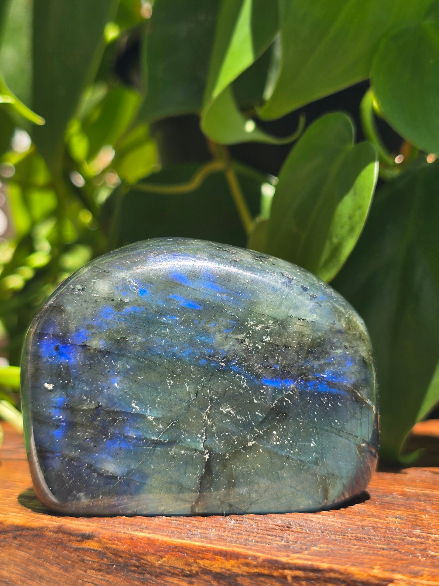 Labradorite Crystal Free Form Carving "F"