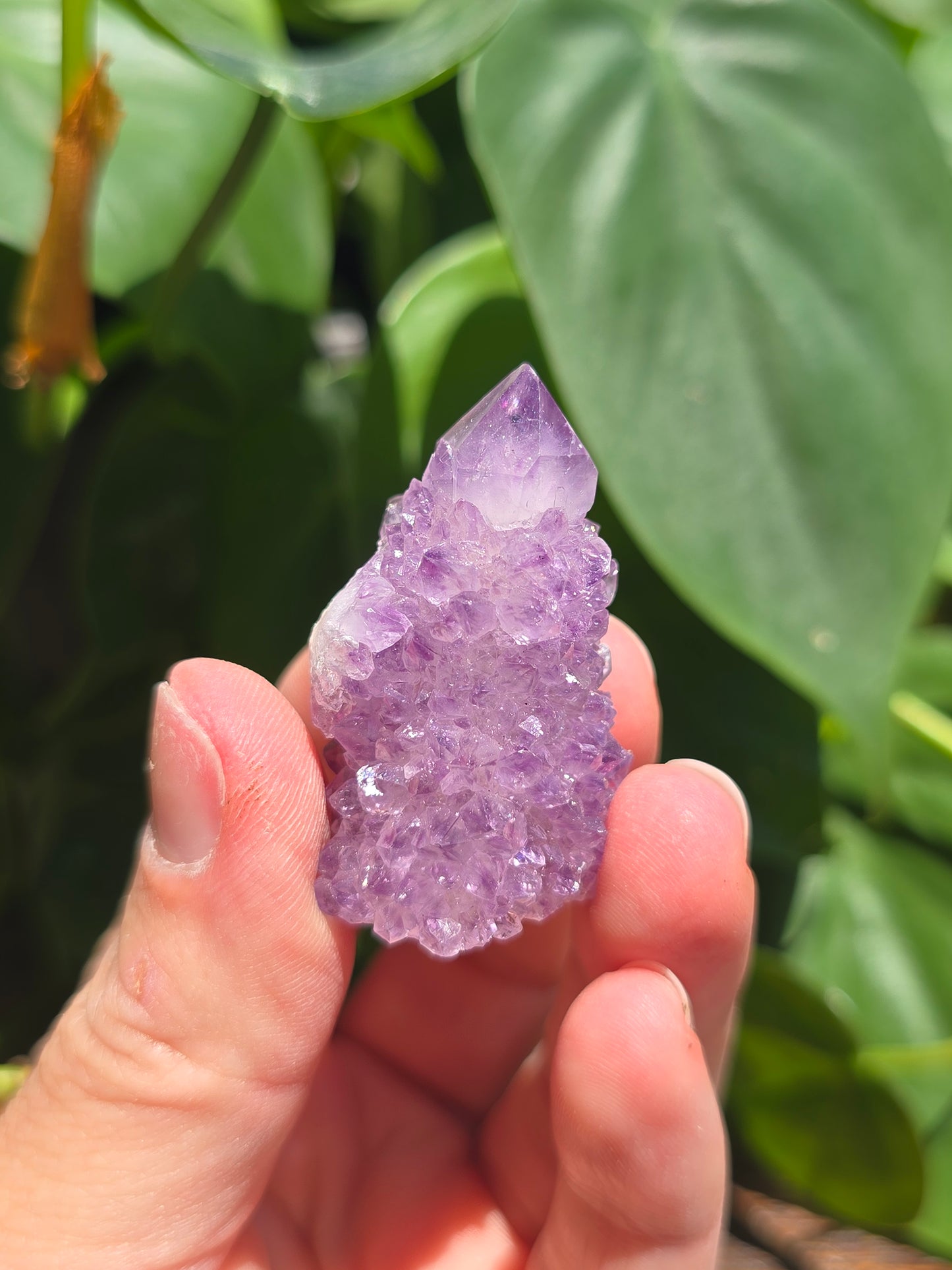 Amethyst Spirit Cactus Quartz Crystal Specimen "A"