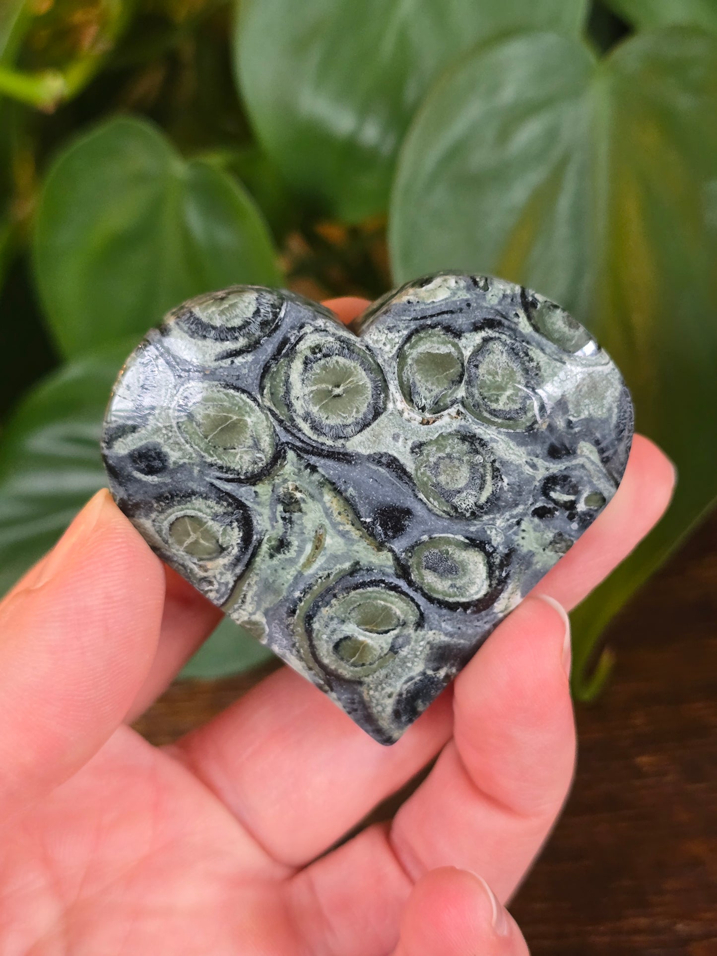 Kambaba Heart "C"