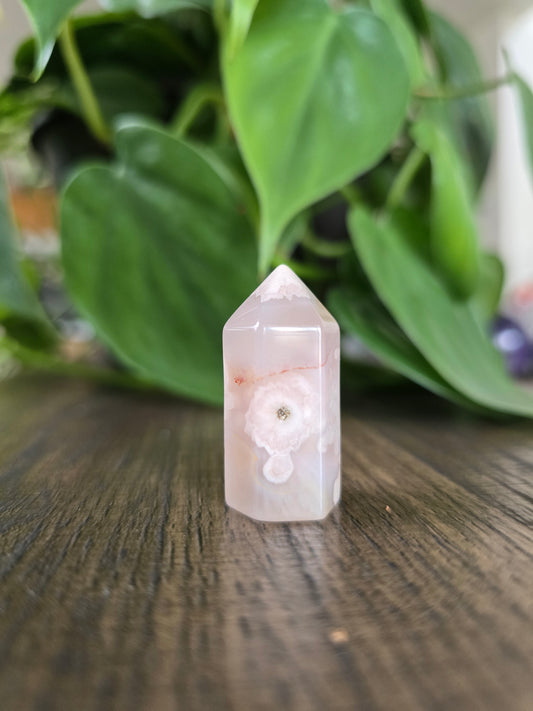 Flower Agate Mini Point
