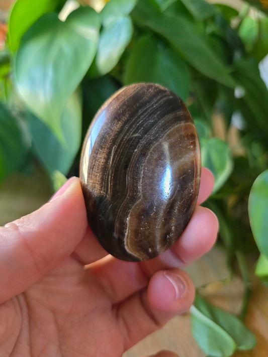Chocolate Calcite Palm Stone