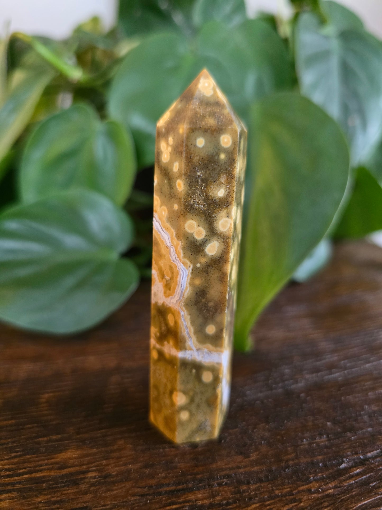 Ocean Jasper Tower "D"