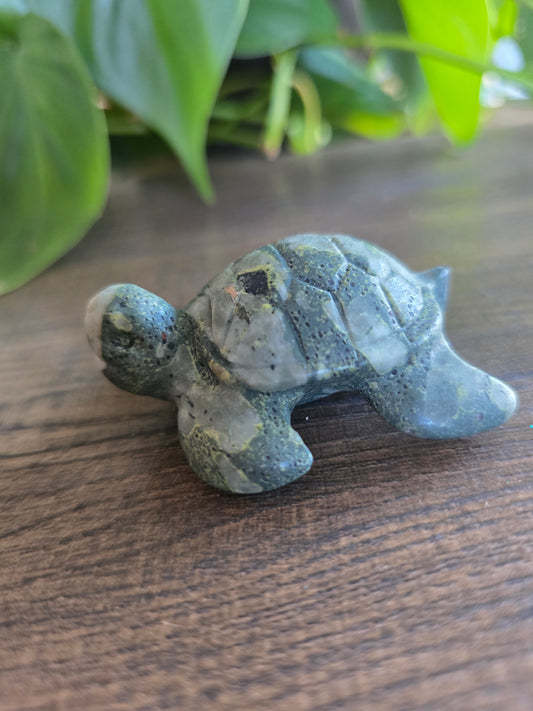 Que Sera Turtle Carving