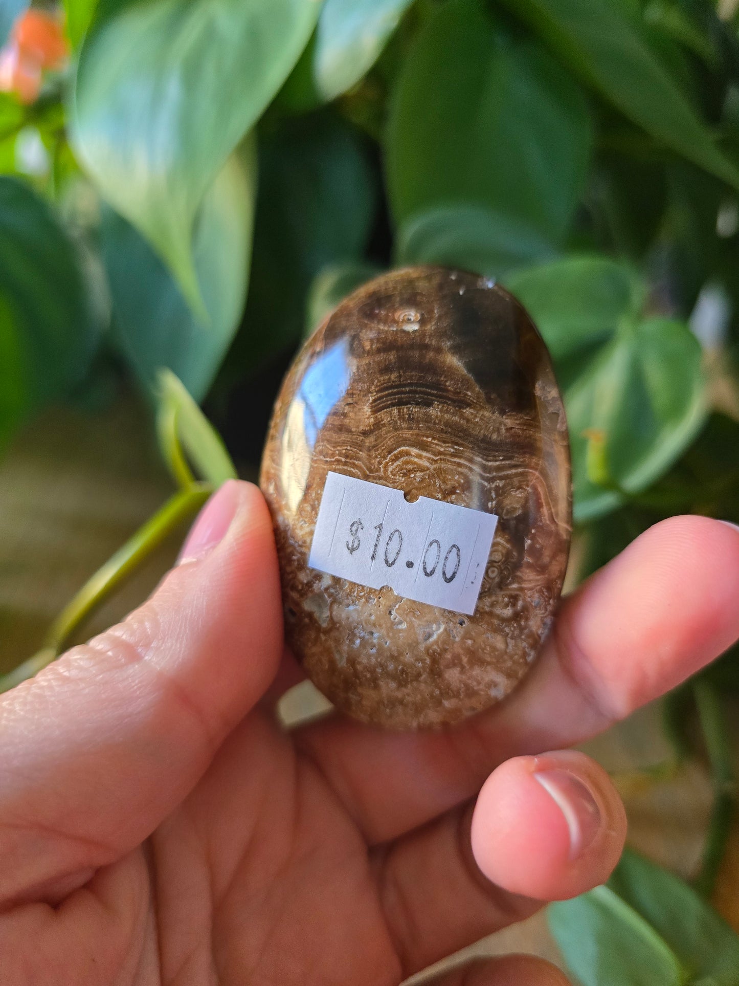Chocolate Calcite Palm Stone