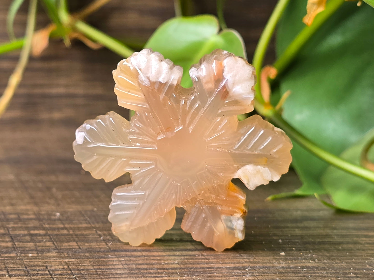 Flower Agate Snowflake