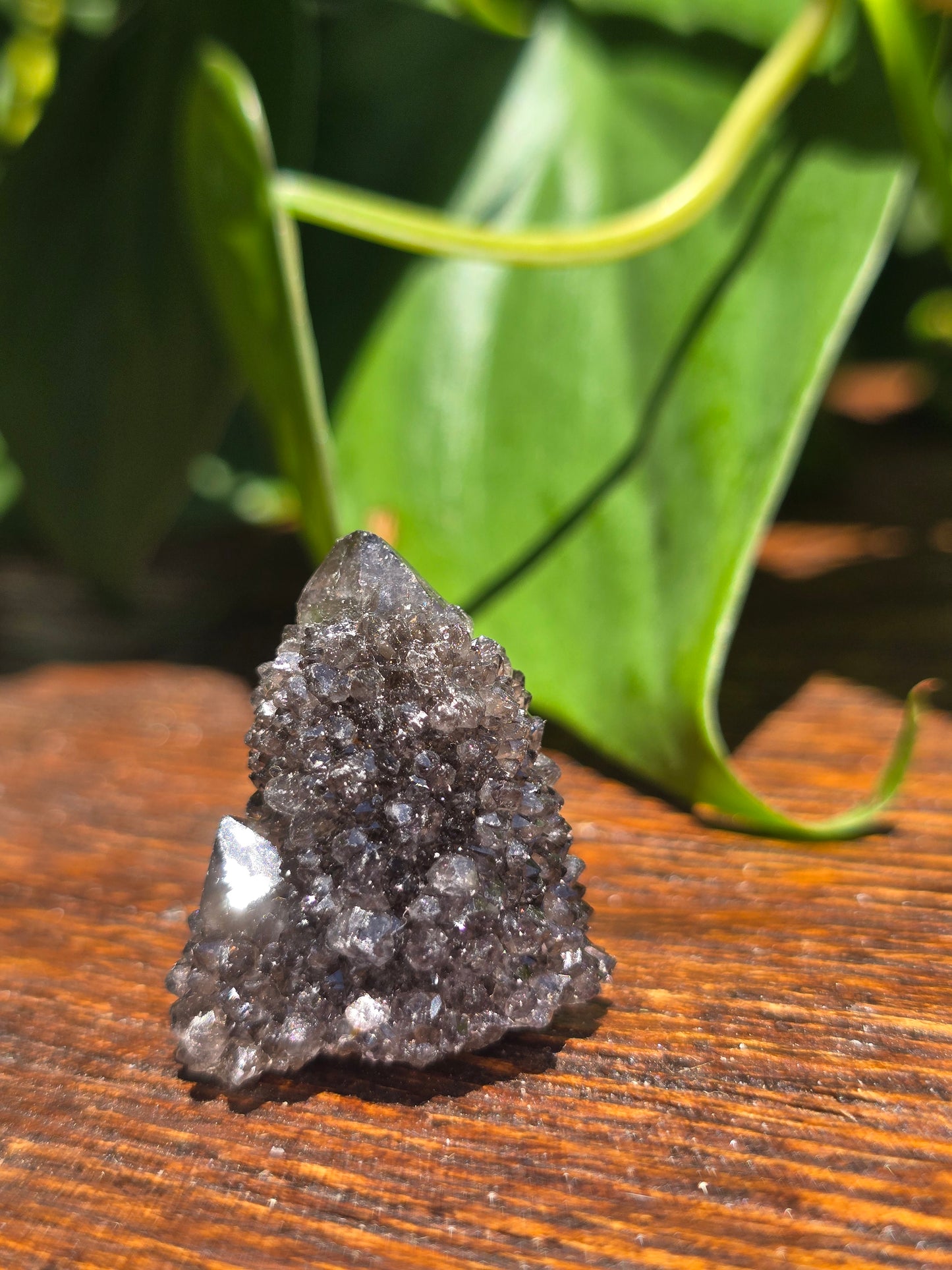 Smoky Black Spirit Quartz Specimen "G"