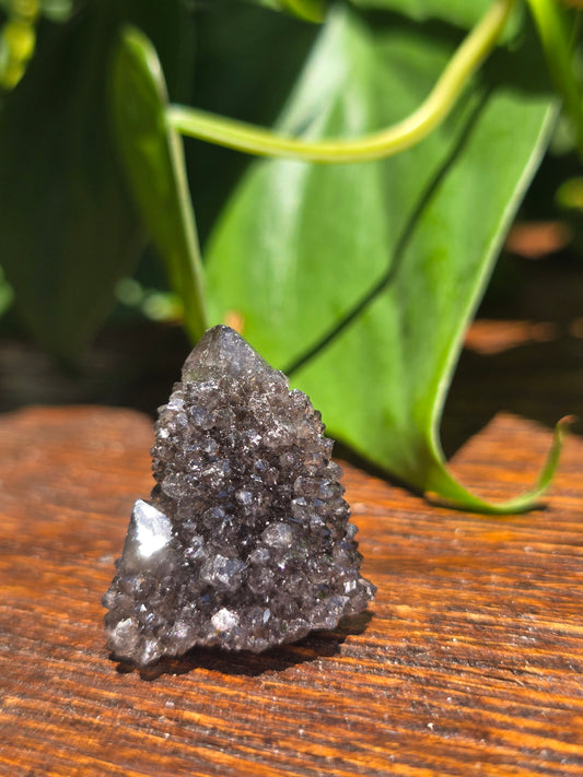 Smoky Black Spirit Quartz Specimen "G"