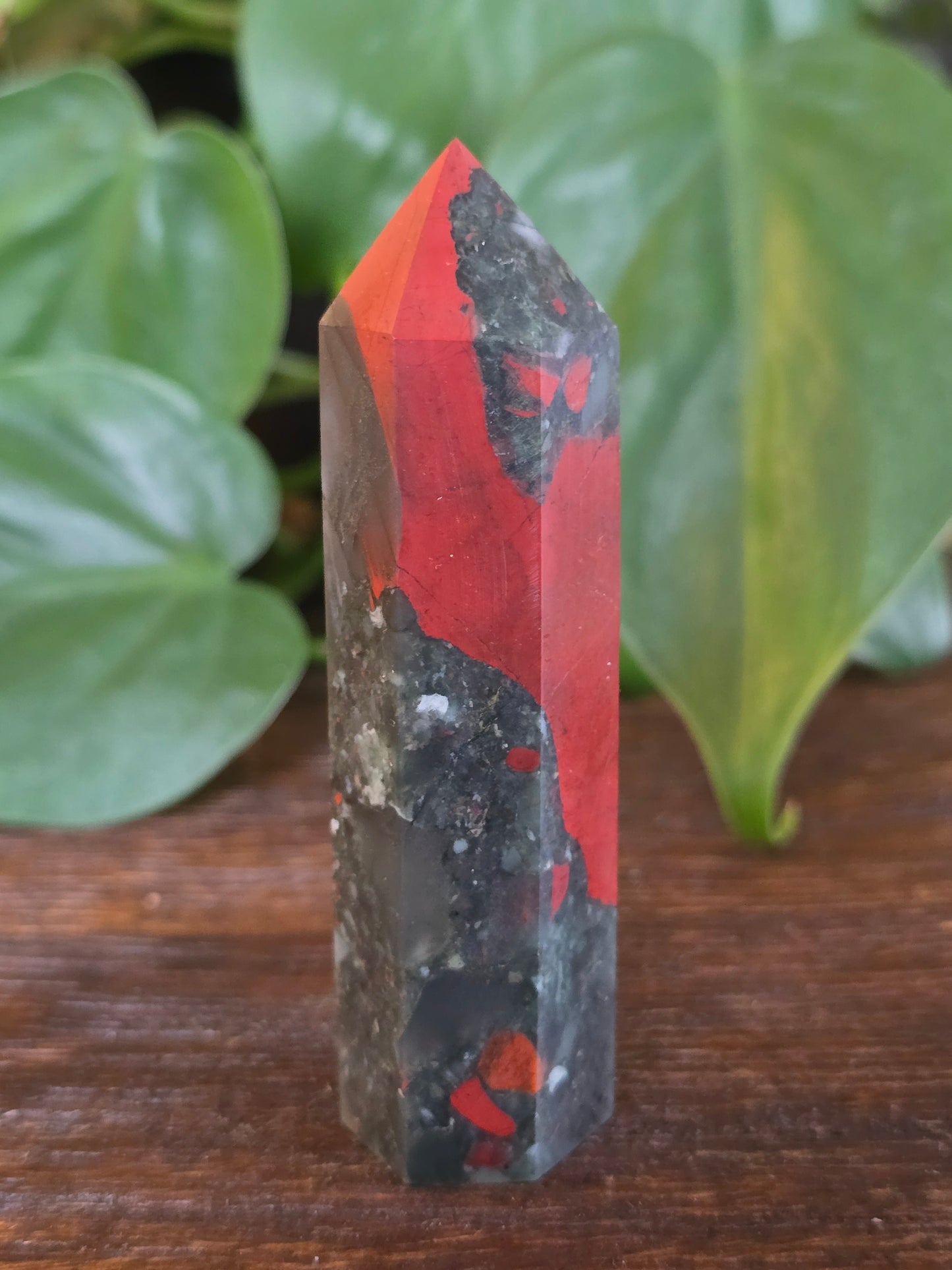 African Bloodstone Point "F"