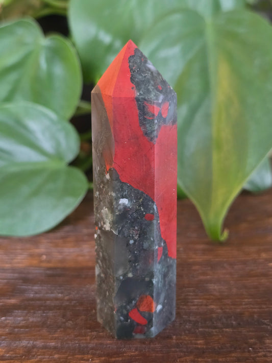 African Bloodstone Point "F"