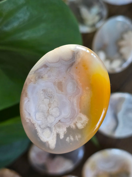 Flower Agate Worry Stone