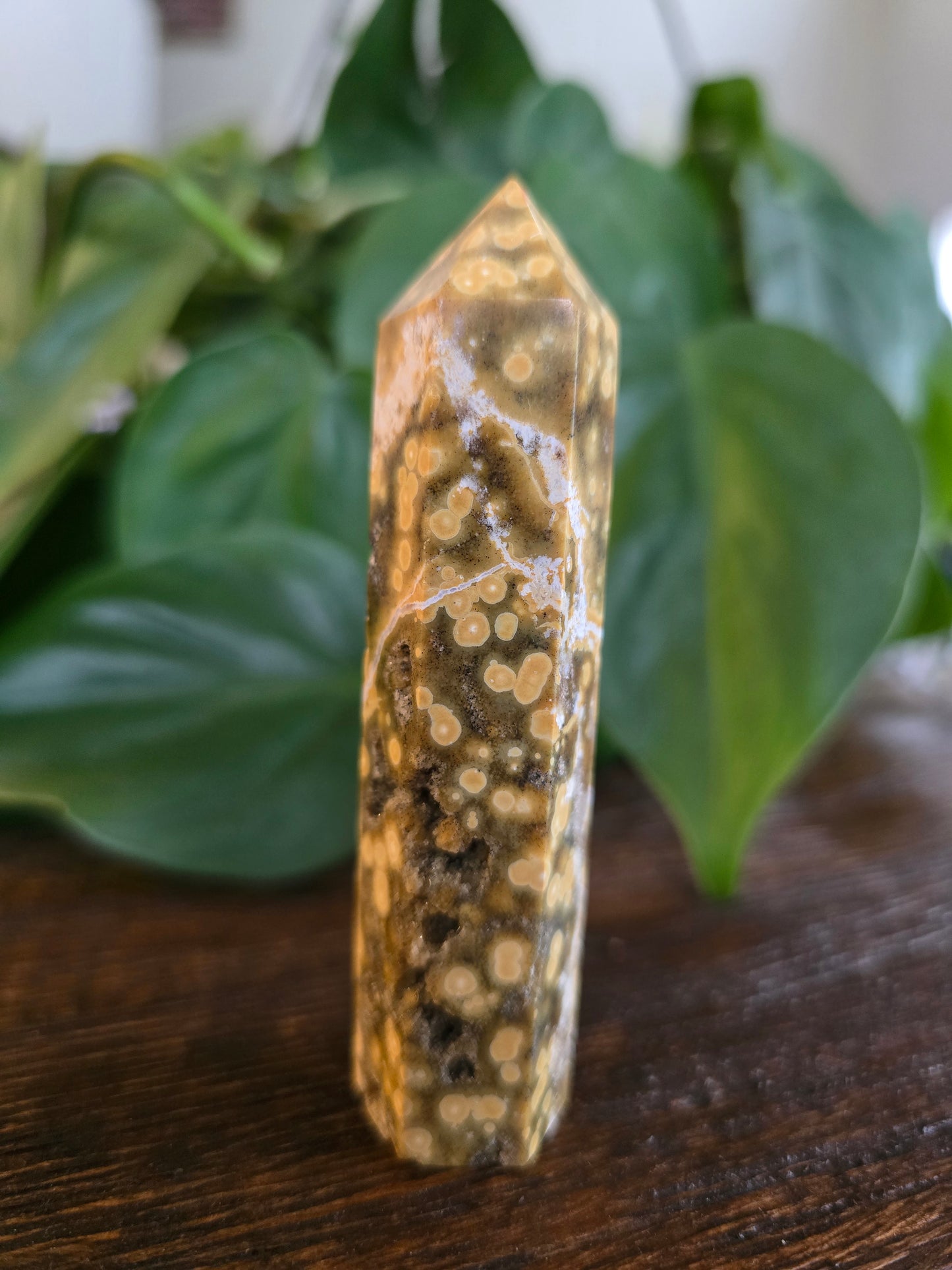 Ocean Jasper Tower "A"