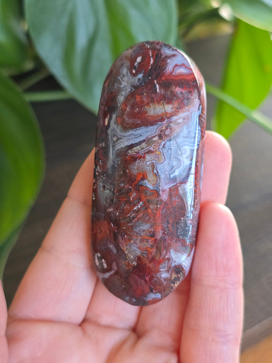Red Mexican Crazy Lace Agate Palm Stone