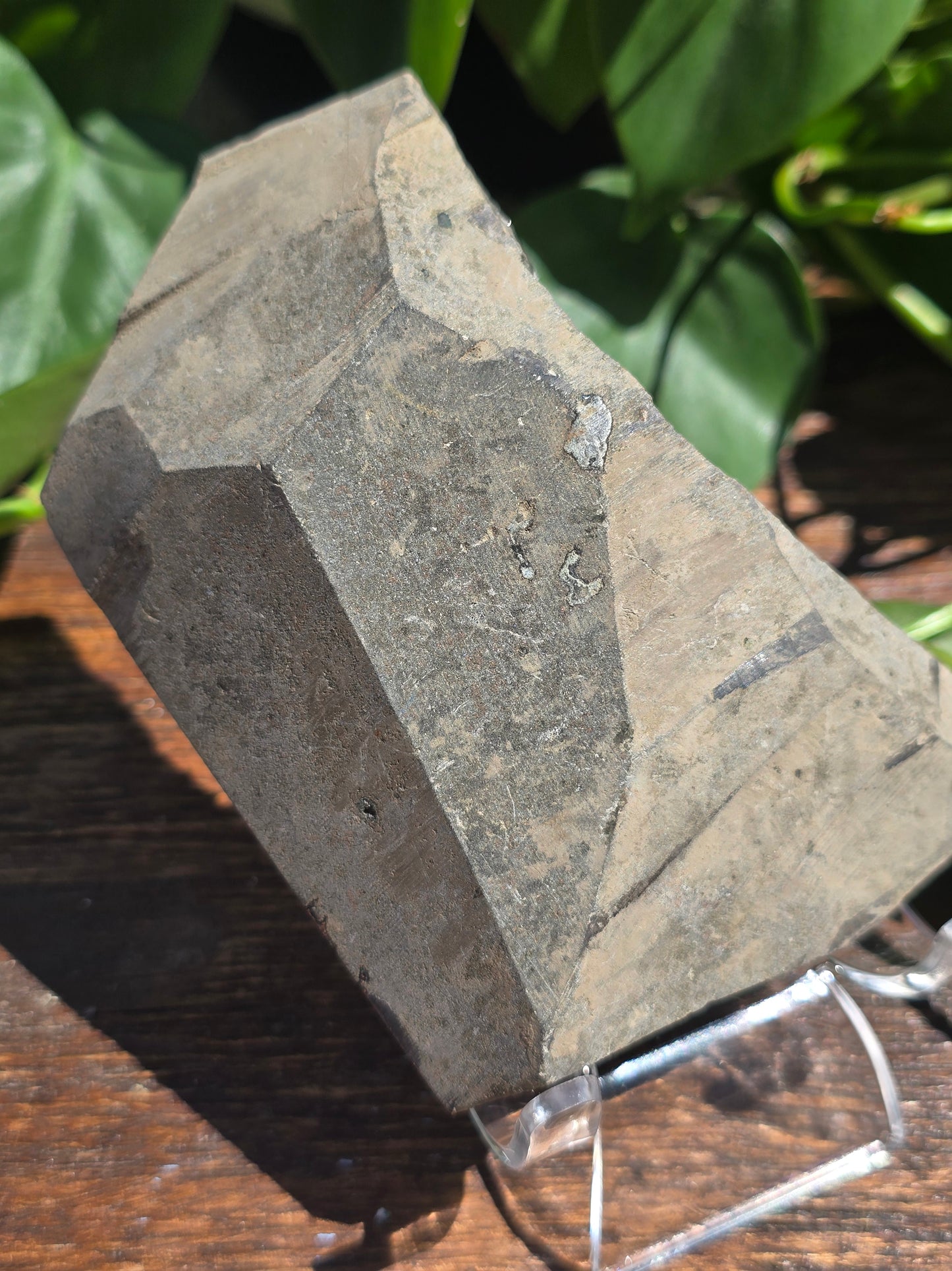 Brazilian Black Amethyst Plate
