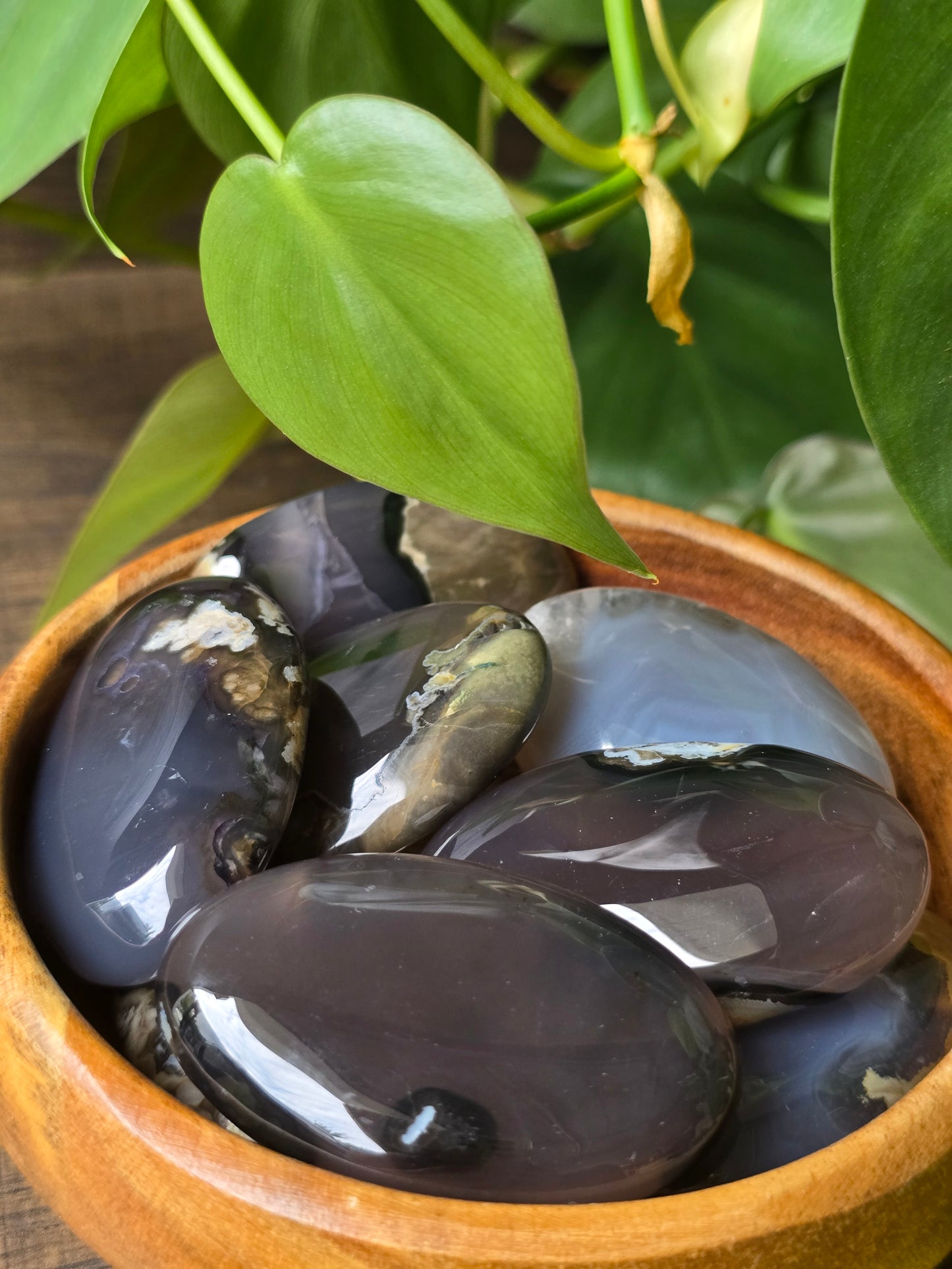 Volcano Agate Palm Stone