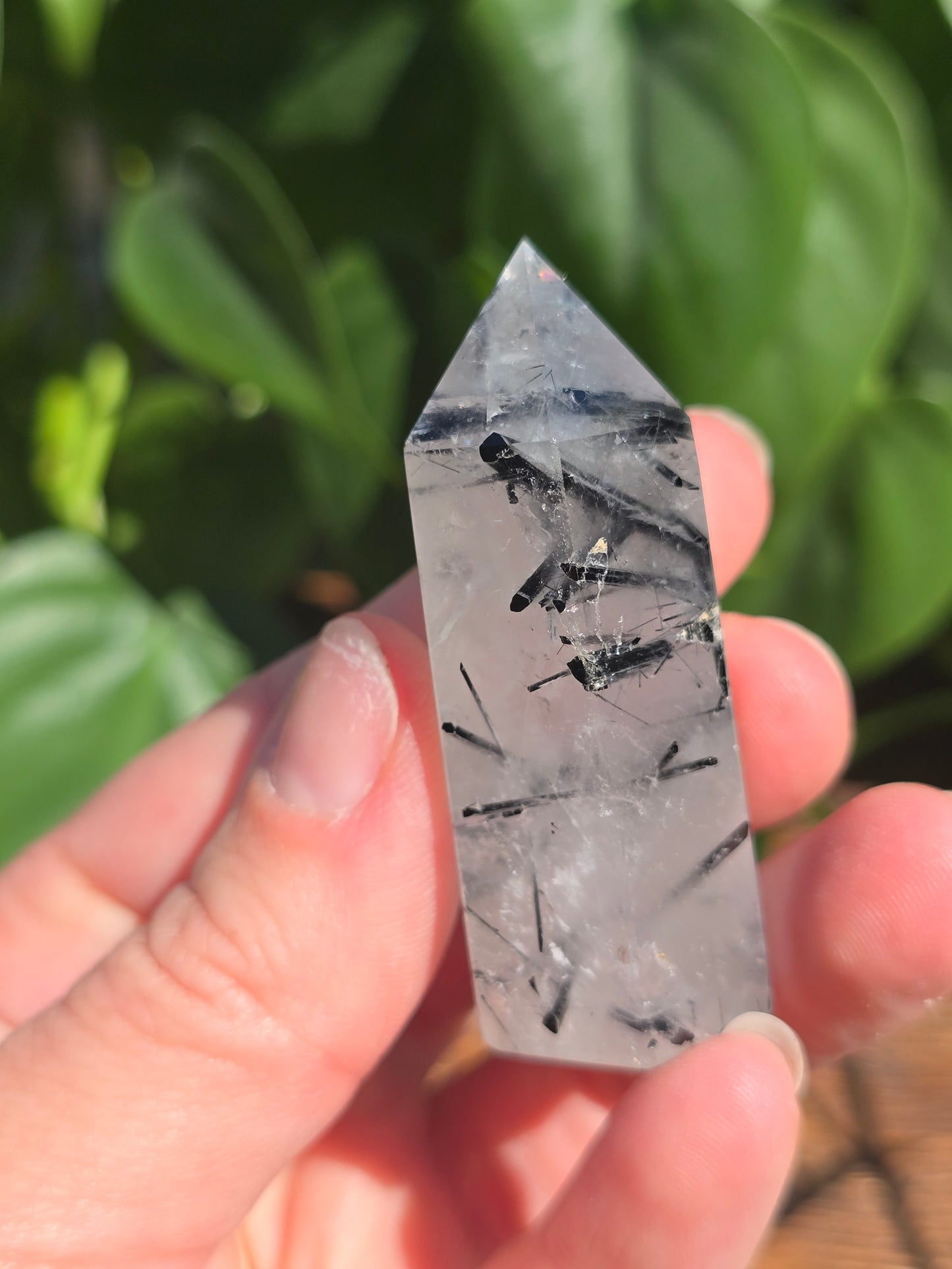 Black Tourmaline in Quartz Point "C"