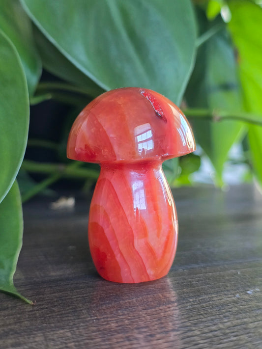 Carnelian Mushroom Carving