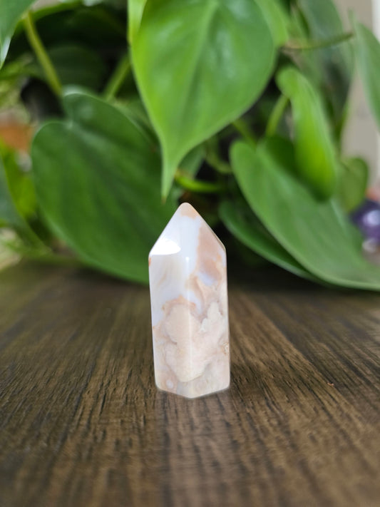 Flower Agate Mini Point