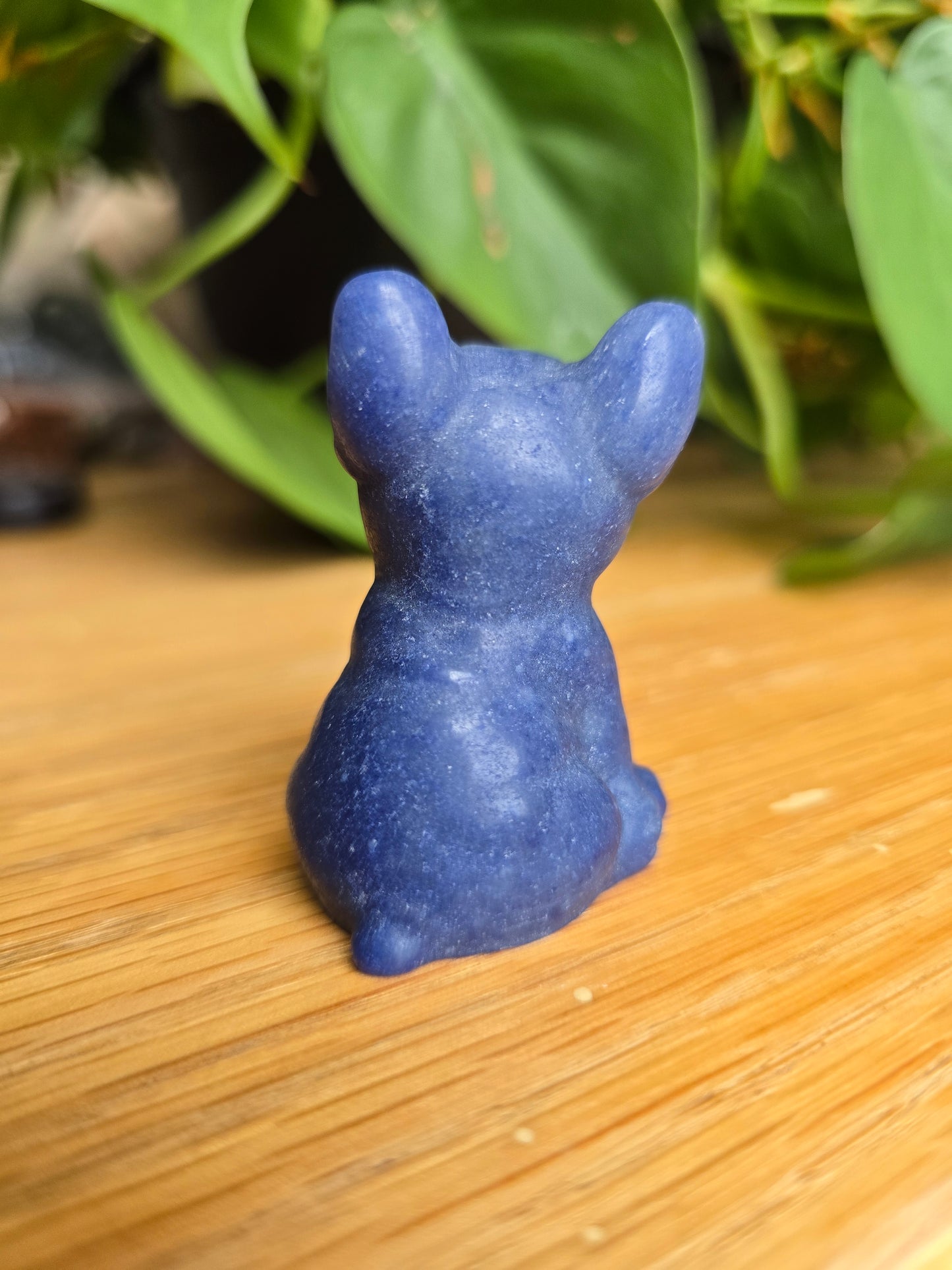 Blue Aventurine French Bulldog