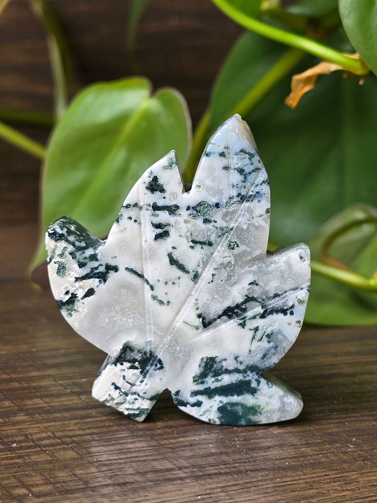 Moss Agate Leaf