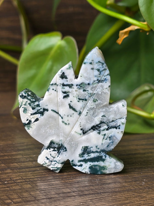 Moss Agate Leaf