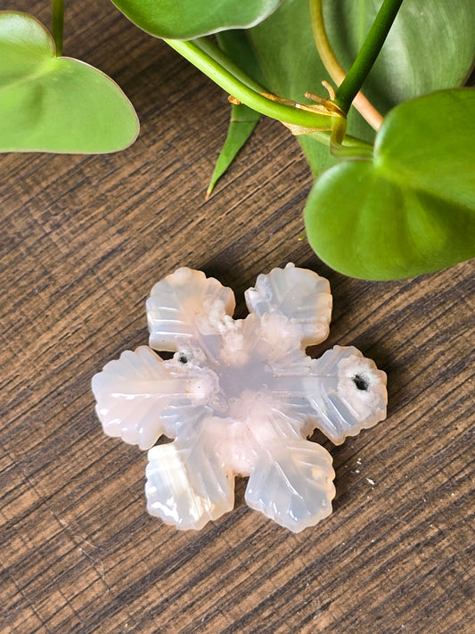 Flower Agate Snowflake