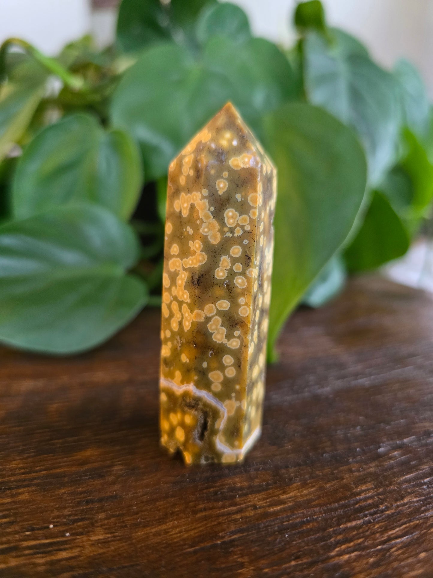Ocean Jasper Tower "C"