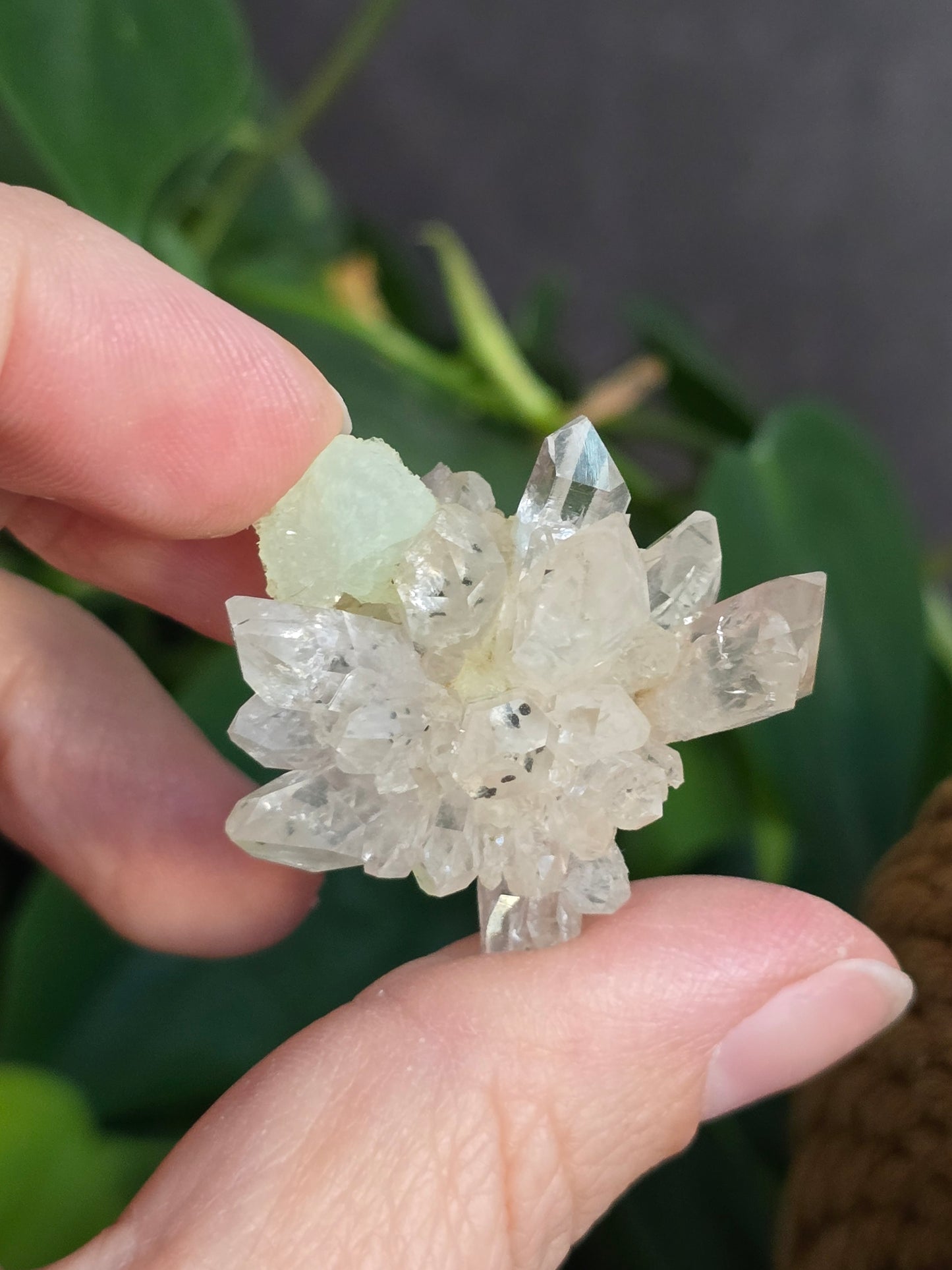 Prehnite and Epidote on Quartz Matrix