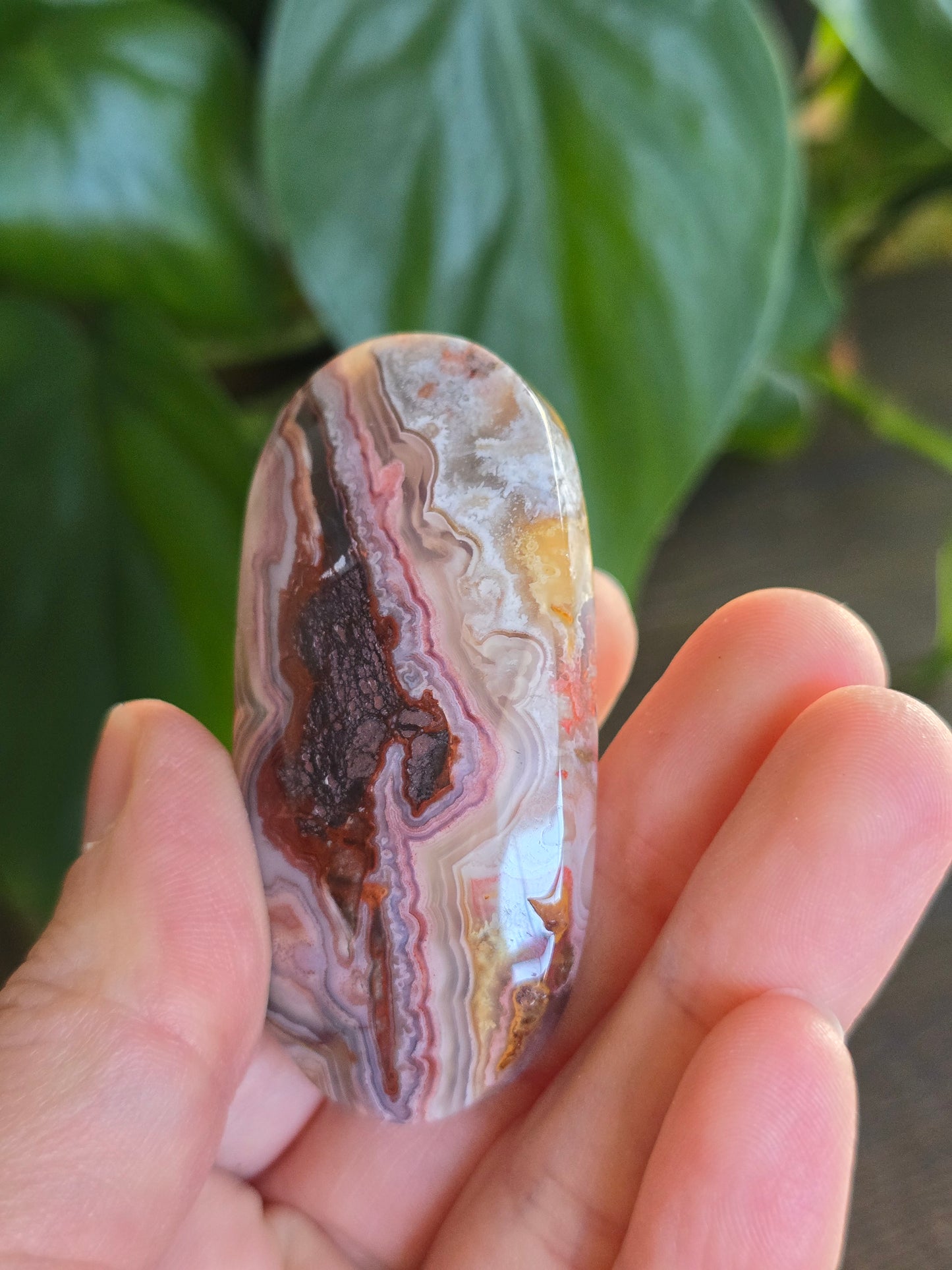 Red Mexican Crazy Lace Agate Palm Stone