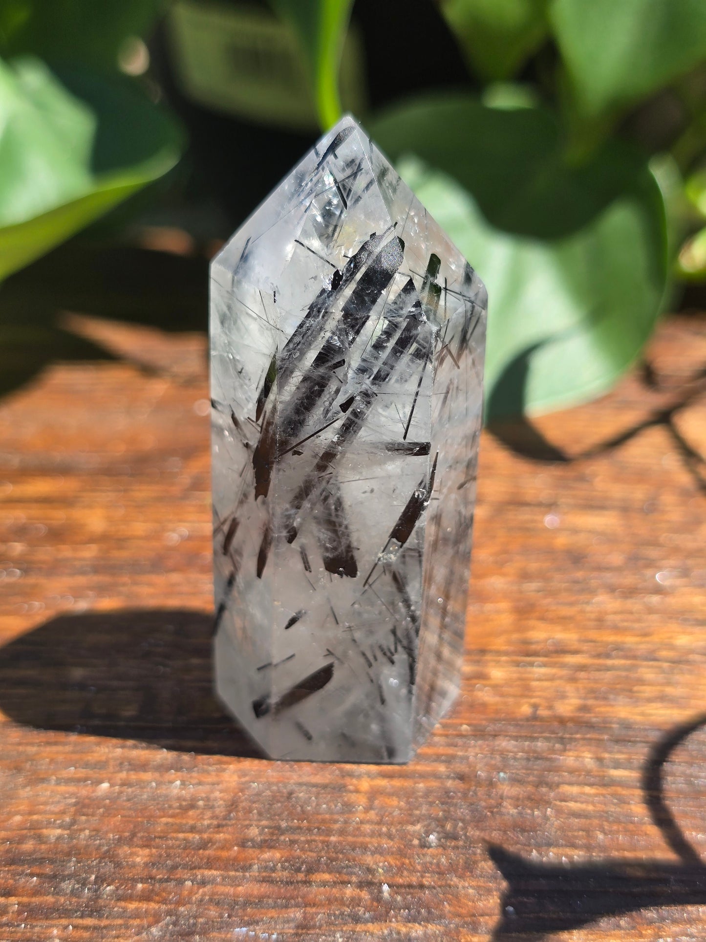 Black Tourmaline in Quartz Point "B"