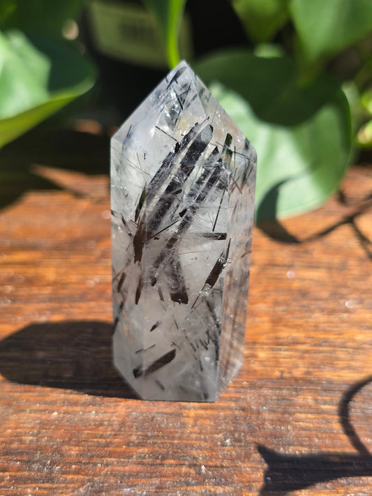 Black Tourmaline in Quartz Point "B"