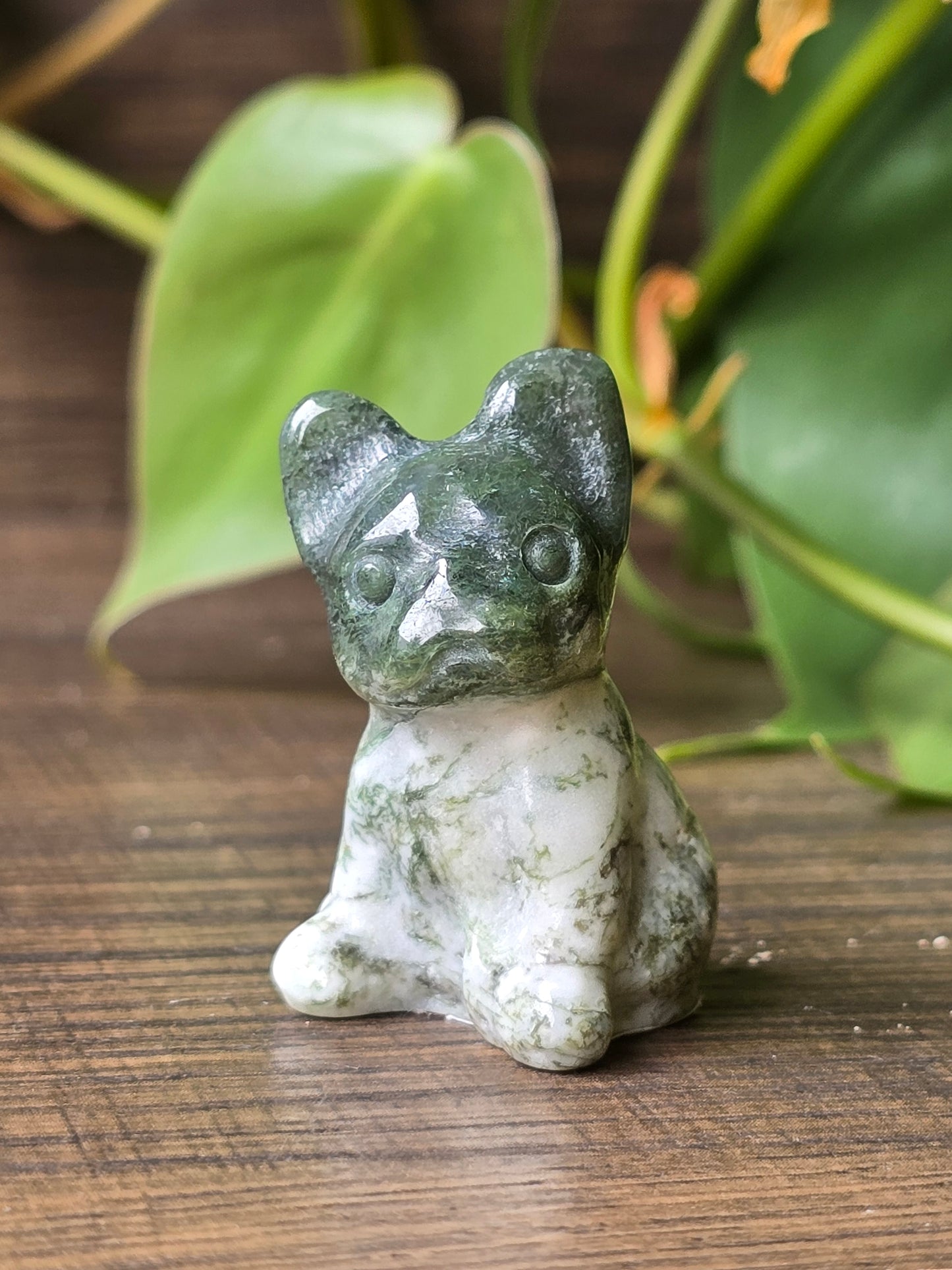 Moss Agate French Bulldog