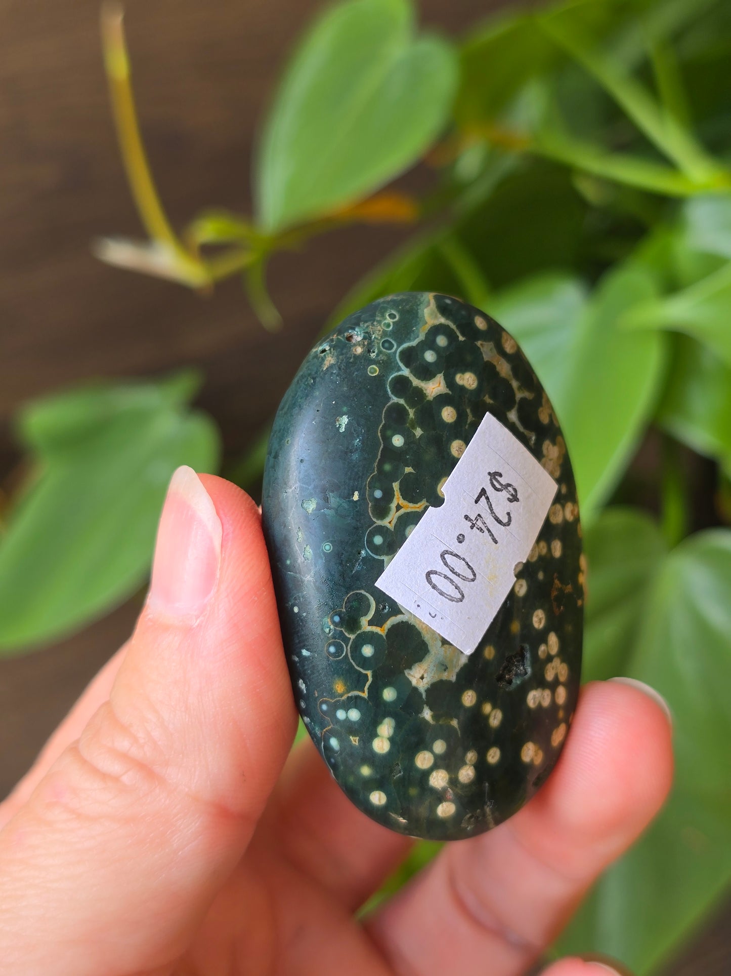 8th Vein Ocean Jasper Palm Stone