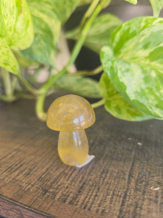 Fluorite Mushroom Carving
