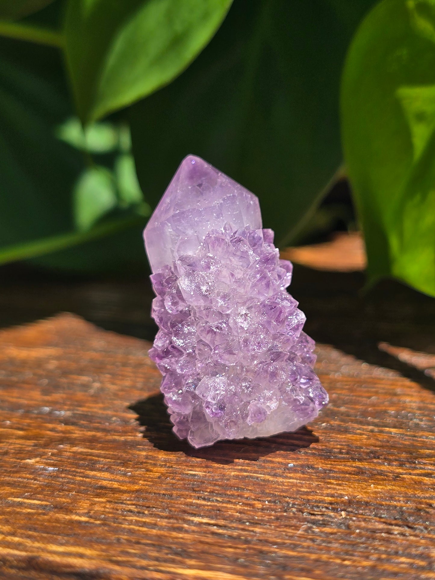 Amethyst Spirit Cactus Quartz Crystal Specimen "B"