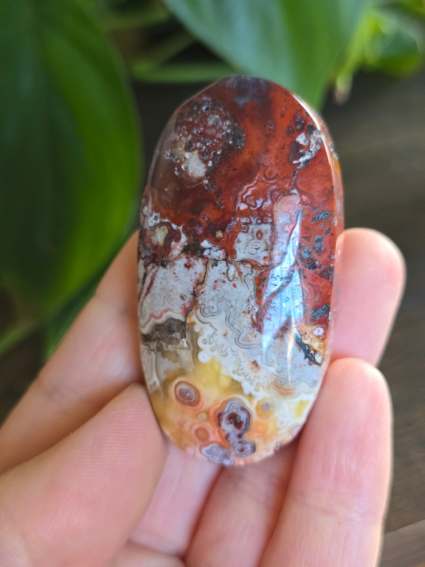 Red Mexican Crazy Lace Agate Palm Stone