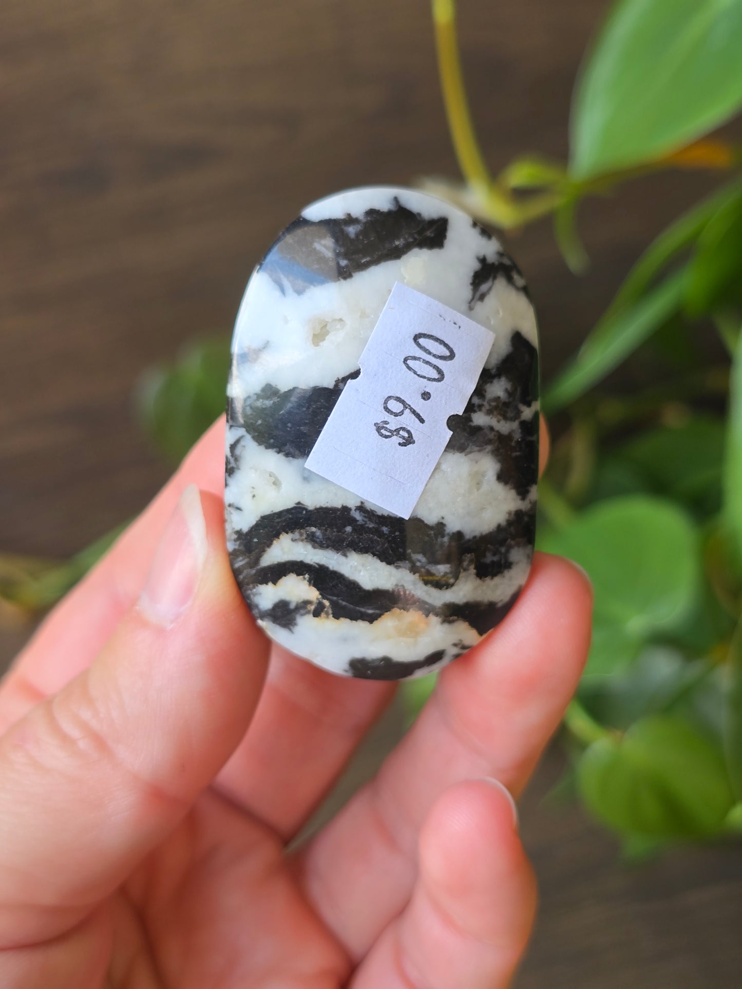Zebra Jasper Palm Stone