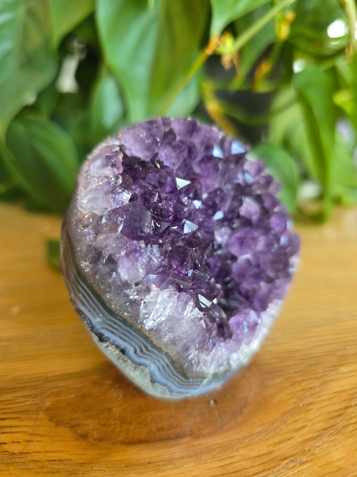 Druzy Amethyst Cluster