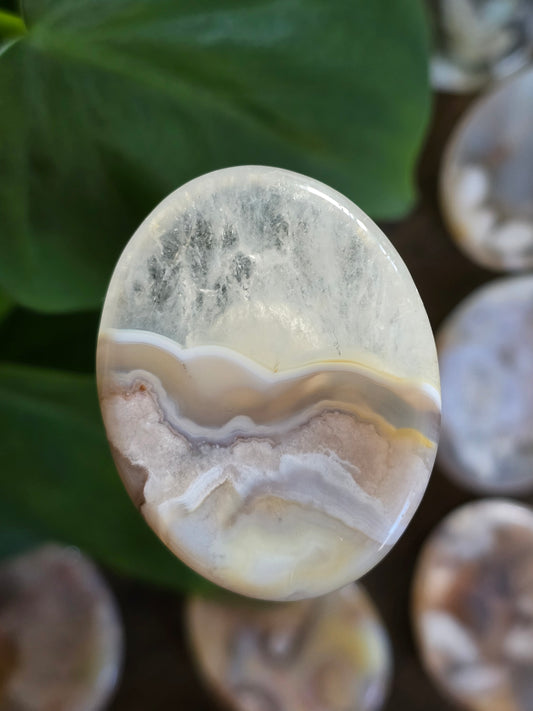 Flower Agate Worry Stone
