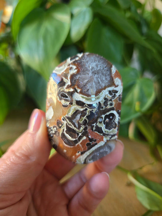 Money Agate Palm Stone