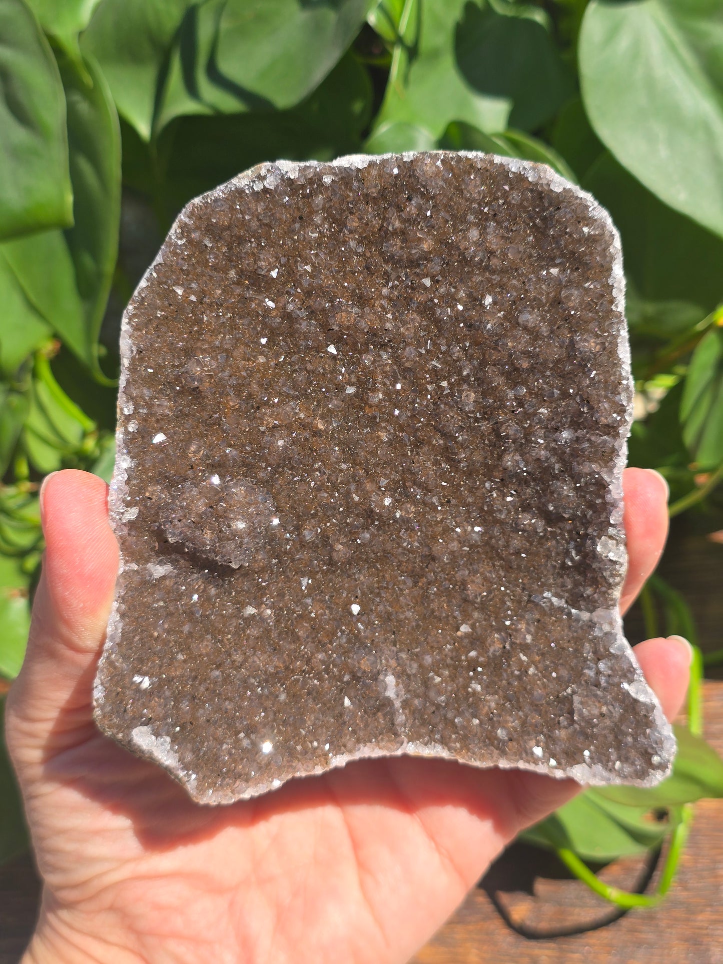 Brazilian Black/Brown Amethyst Plate