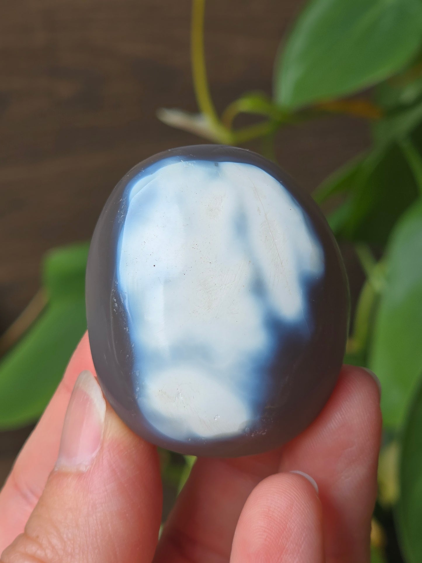 Orca Agate Palm Stone