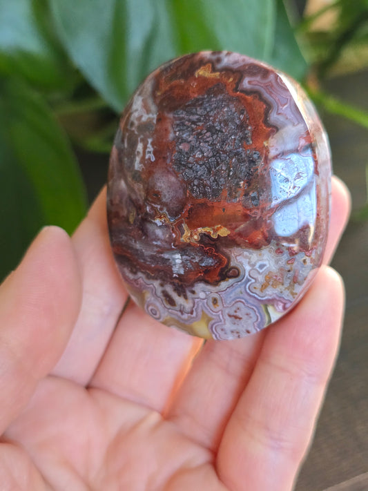 Red Mexican Crazy Lace Agate Palm Stone