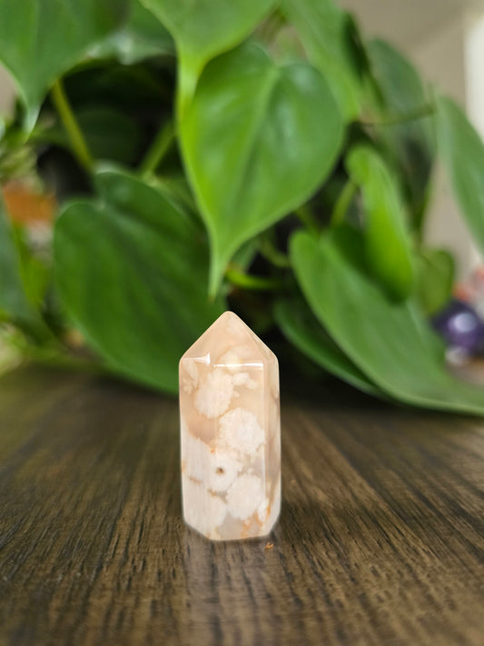 Flower Agate Mini Point