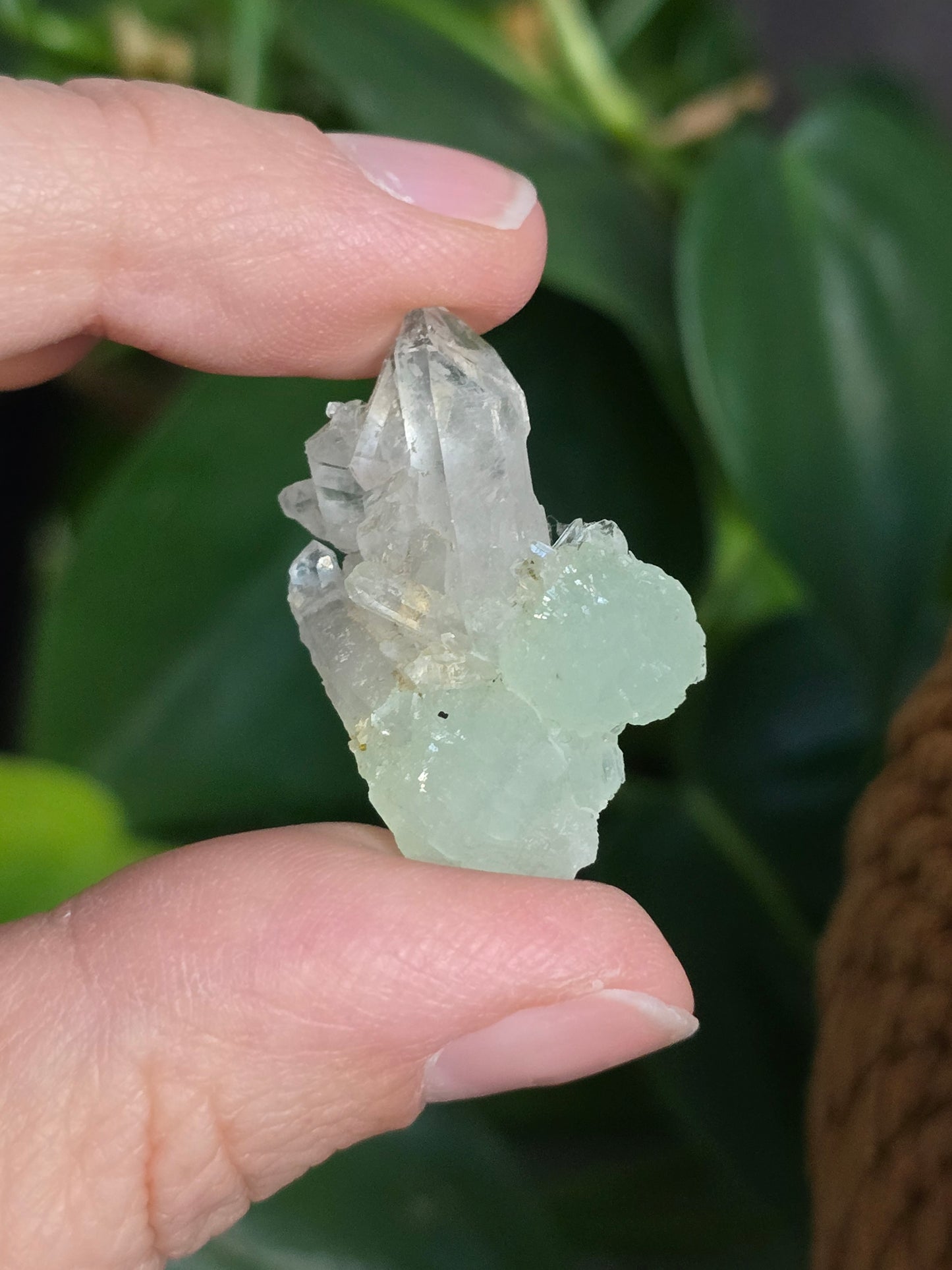 Prehnite and Epidote on Quartz Matrix