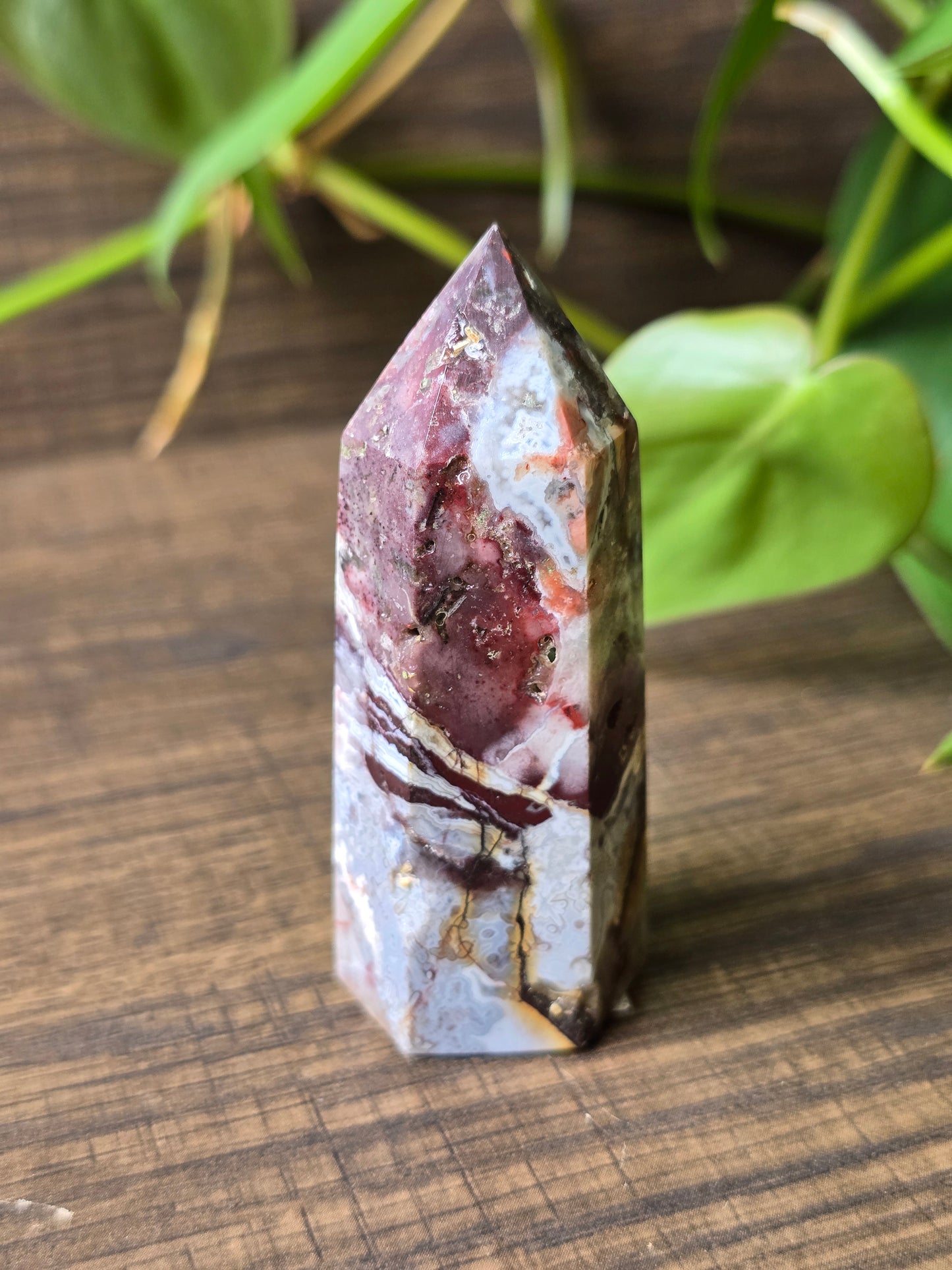 Crazy Lace Agate Point